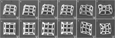 3D micro/nano hydrogel structures fabricated by two-photon polymerization for biomedical applications